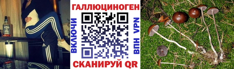 даркнет сайт кракен сайт Галлюциногенные грибы ЛСД Киренск